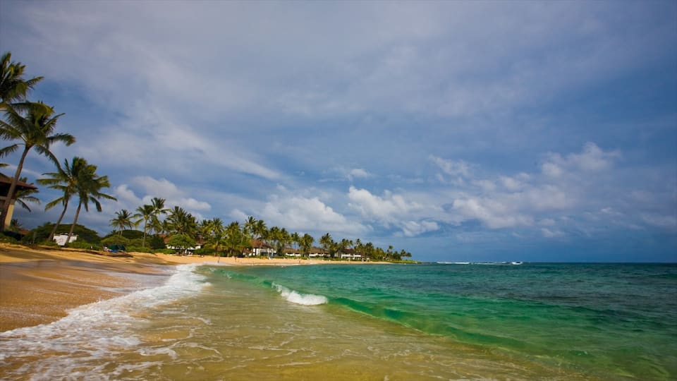 Poipu showing a beach, tropical scenes and landscape views