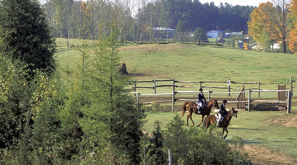 Photo provided by Ontario Tourism Marketing Partnership