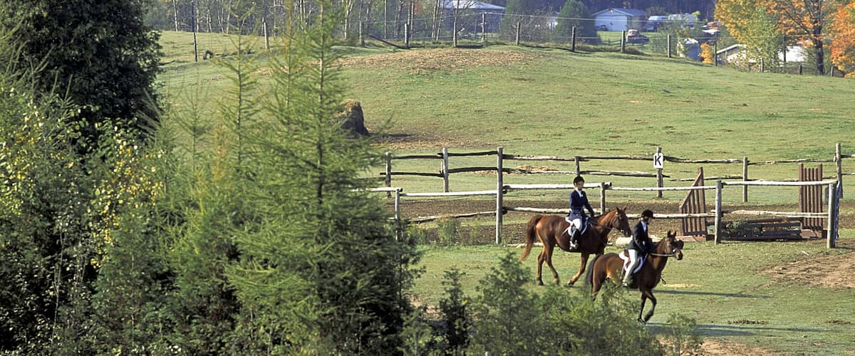 Unionville featuring forest scenes, farmland and horseriding