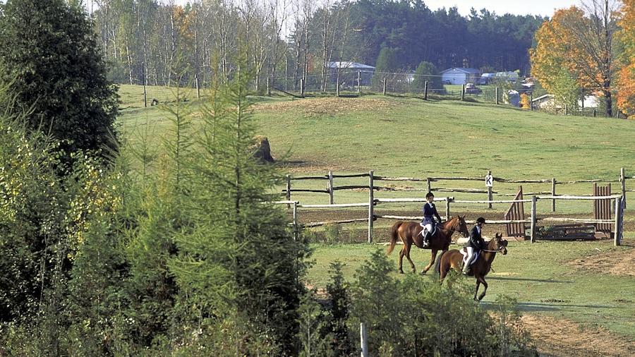 Unionville showing farmland, forests and horse riding