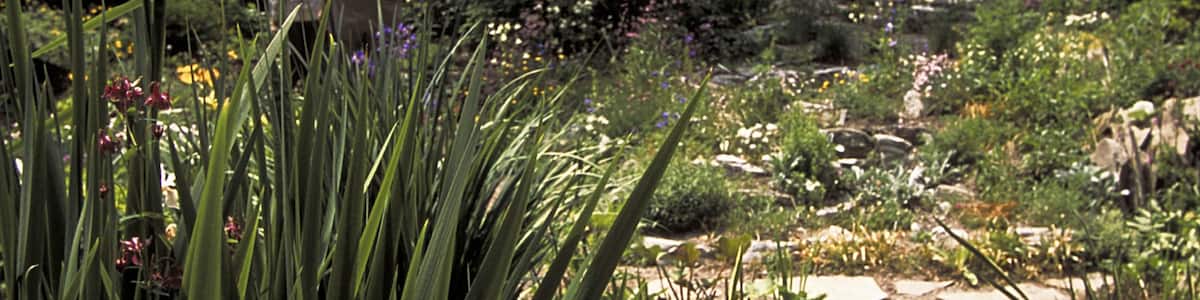 Unionville das einen Blumen und Park sowie kleine Menschengruppe