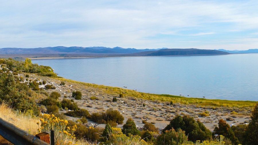 Mono Lake som omfatter en sø eller et vandhul og udsigt over landskaber