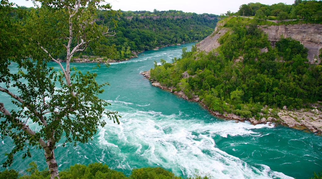 Parque estatal Whirlpool mostrando un parque, un río o arroyo y vistas de paisajes