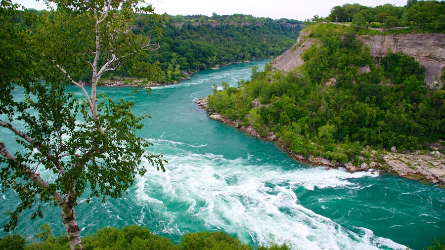 Stunning view of the Niagara Whirlpool surrounded by lush greenery at Whirlpool State Park.
