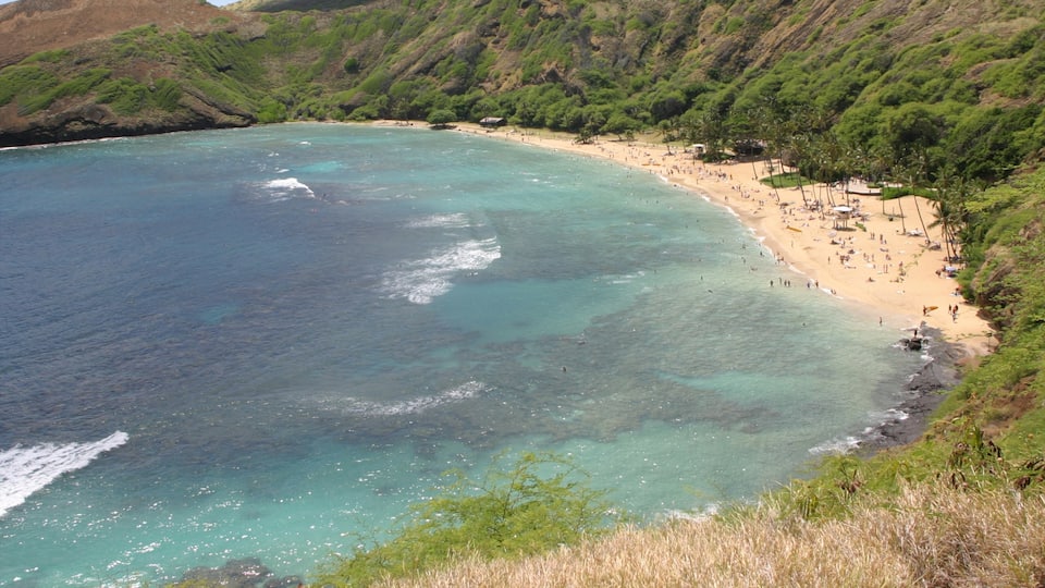 Hanauma Bay Nature Preserve which includes landscape views and a beach