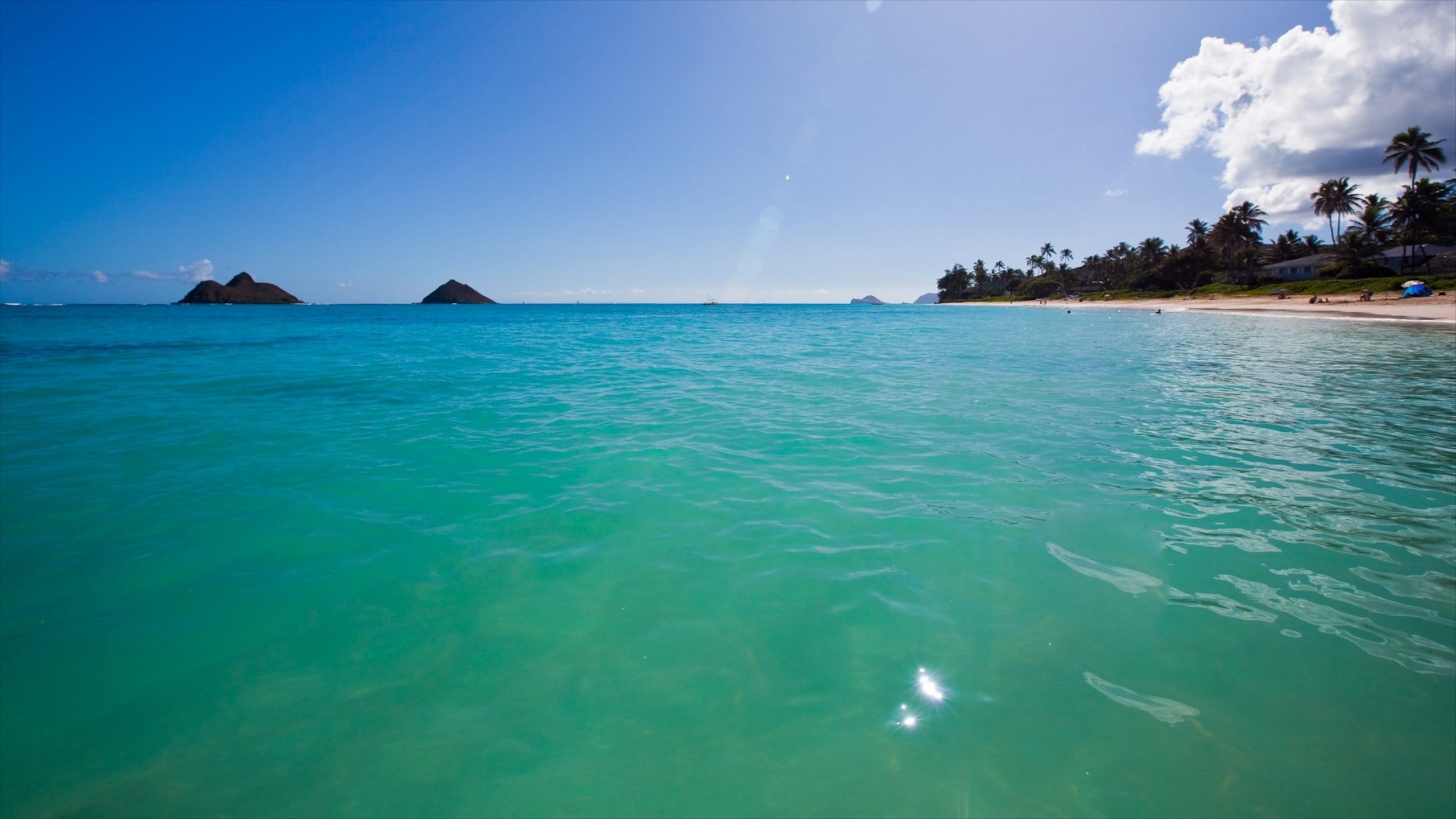 【kailuabeach】 NOYES RelaxedSofa\r
… LANIKAI BEACH (2025) All You MUST Know Before You Go (w