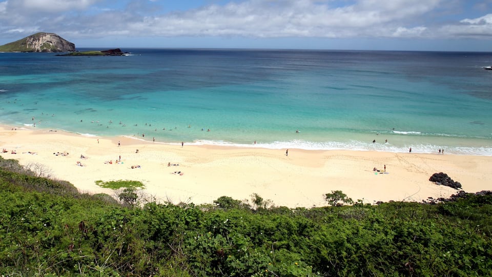 Makapuu Beach Park qui includes plage de sable, panoramas et scĂšnes tropicales