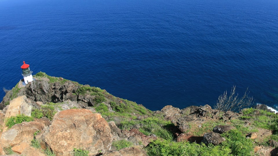 Makapuu Beach Park mettant en vedette phare, vues littorales et parc