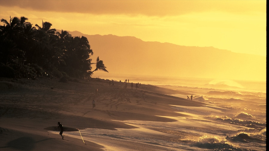 North Shore which includes general coastal views, a sunset and a sandy beach