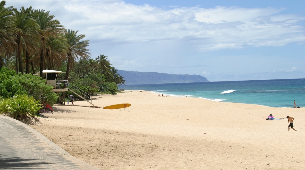 Photo provided by Oahu Visitors Bureau (OVB)/Bianca Photography