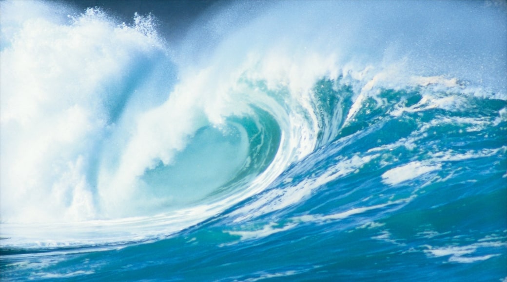 Photo provided by Hawaii Visitors and Convention Bureau