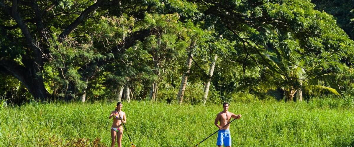 Waimea Bay which includes watersports, a bay or harbor and landscape views