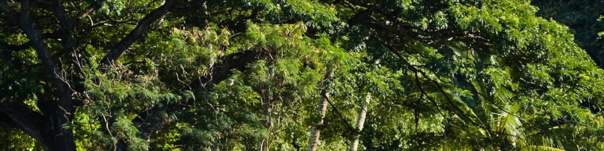 Waimea Bay which includes watersports, a bay or harbor and landscape views