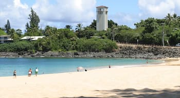 Waimea Bay mettant en vedette plage, scĂšnes tropicales et panoramas