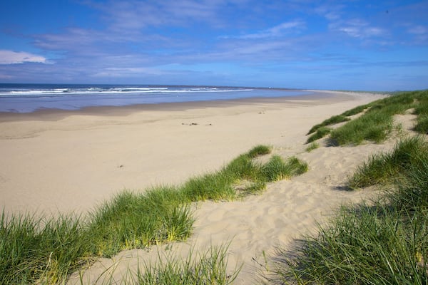South Beach State Park montrant plage et panoramas