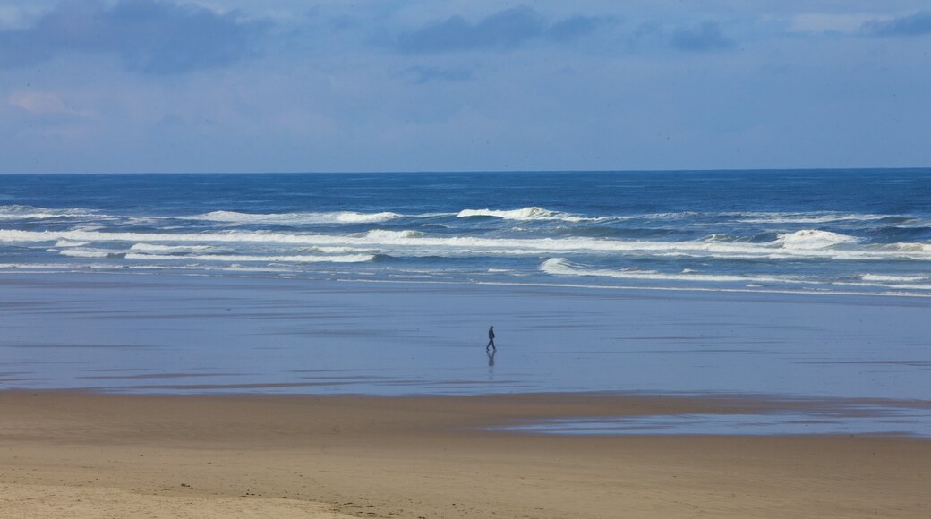 South Beach State Park which includes a sandy beach, waves and landscape views