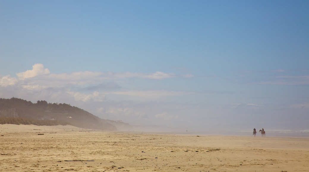 South Beach State Park che include spiaggia sabbiosa, nebbia e foschia e vista del paesaggio