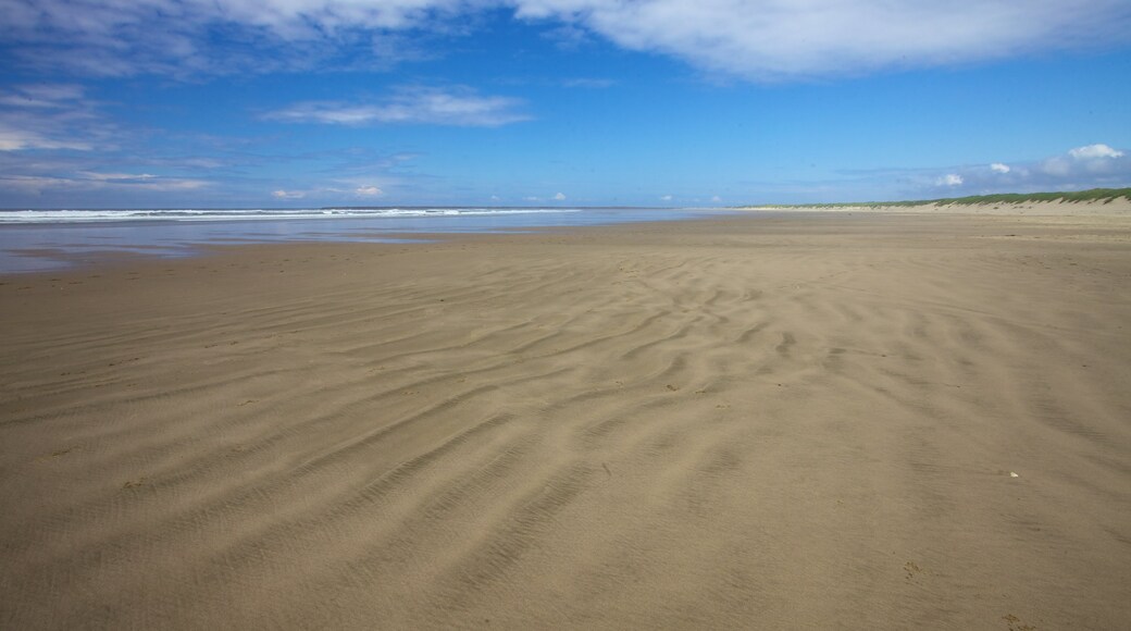 South Beach State Park showing landscape views and a beach