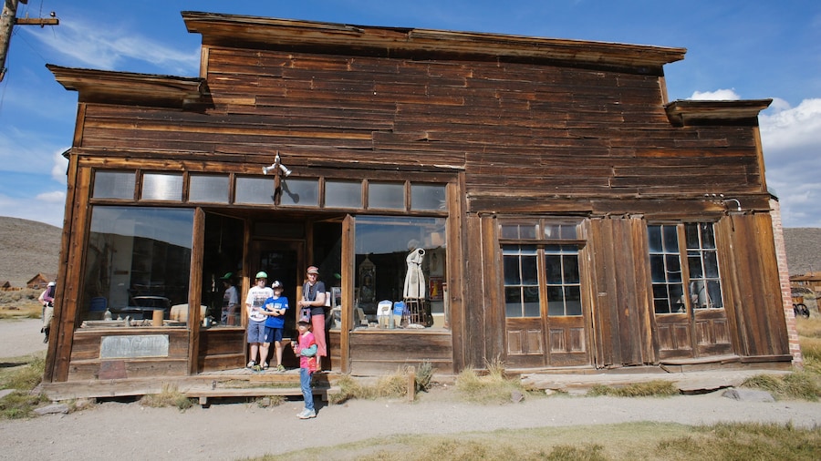 Bodie Historic District showing a small town or village and tranquil scenes as well as children