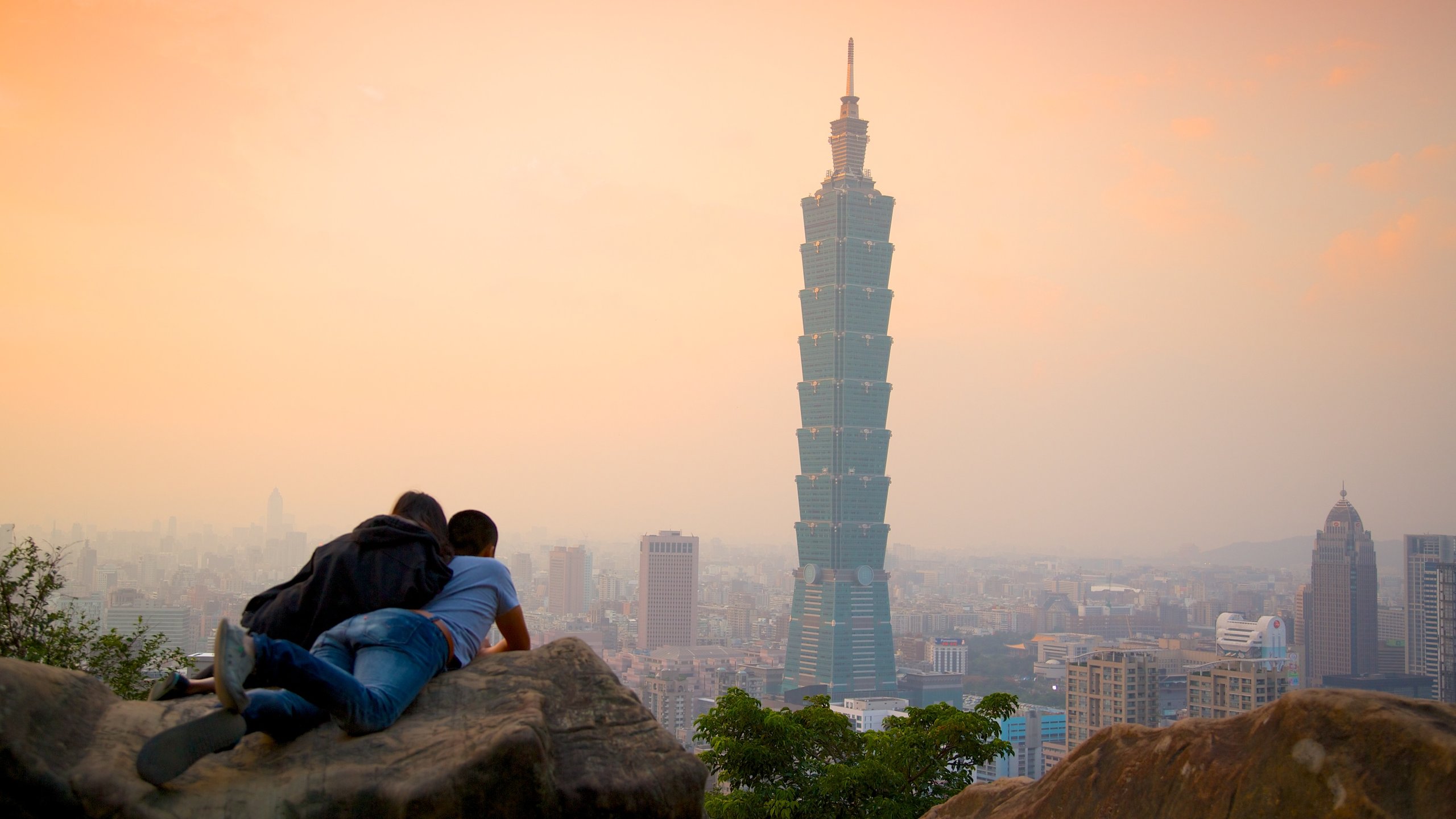 Taipei 101 which includes a skyscraper, mist or fog and modern architecture