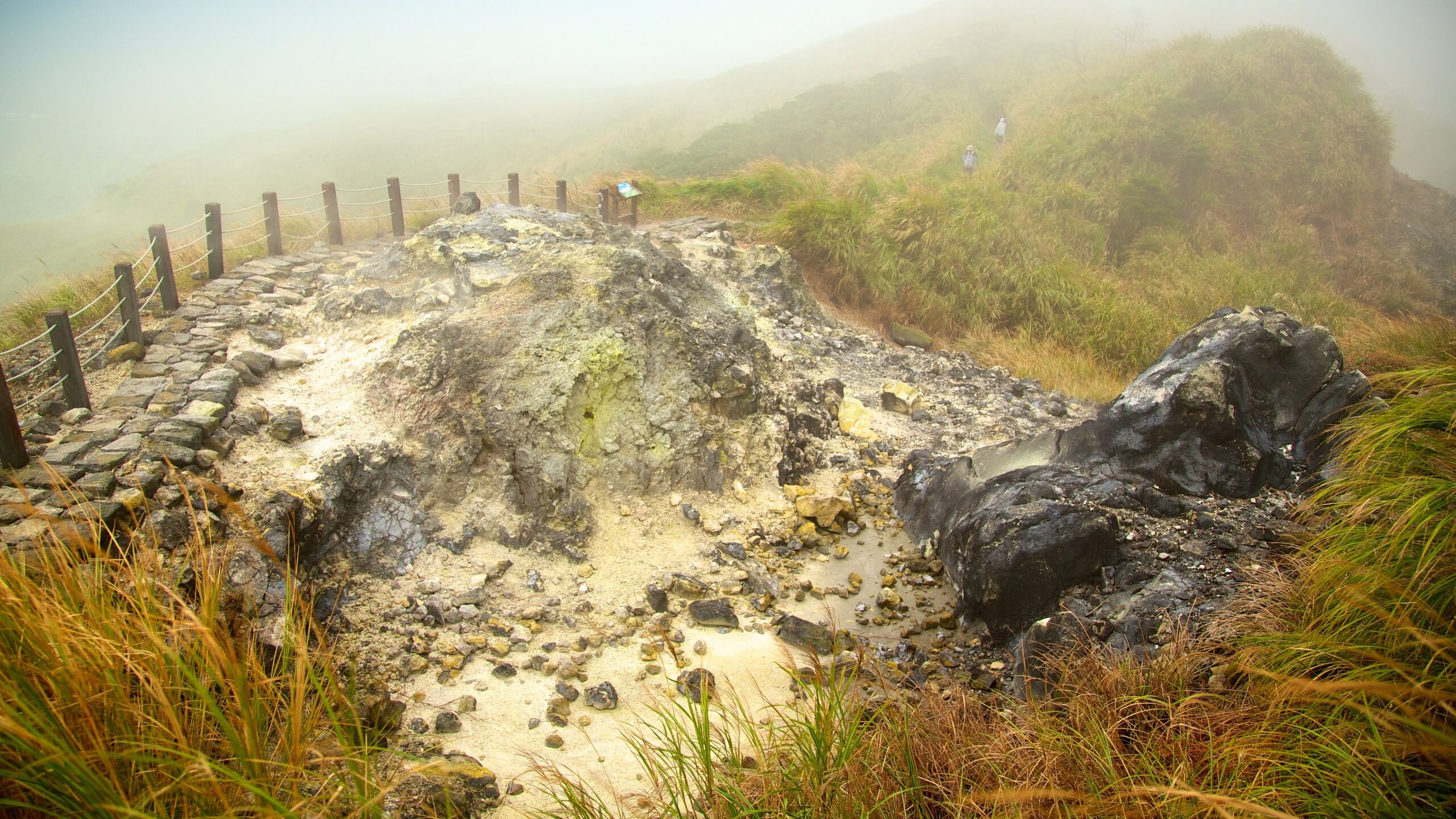 é½æå±±åå®¶å¬å'2021 æ°åå¸æ¯é»å¿éæ