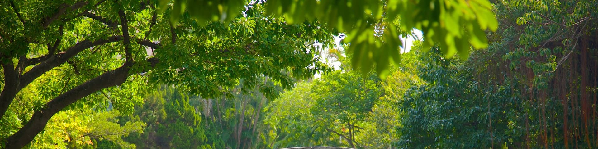 Taipei 228 Memorial Park which includes a bridge, a park and a lake or waterhole