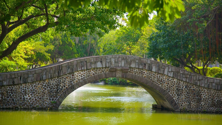 Taipei 228 Memorial Park featuring a garden, a lake or waterhole and a bridge