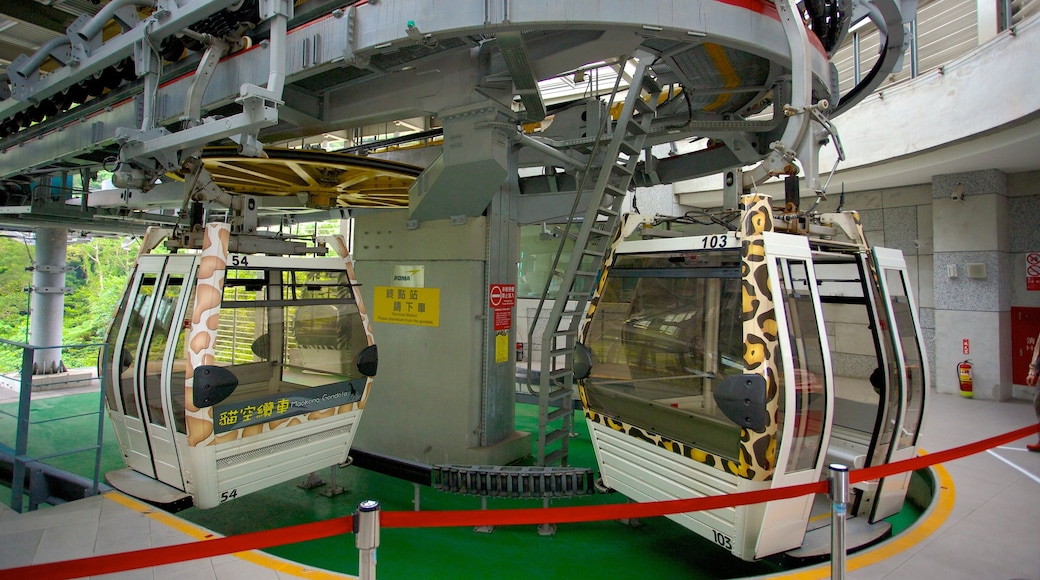 Maokong Gondola showing interior views, a city and a gondola