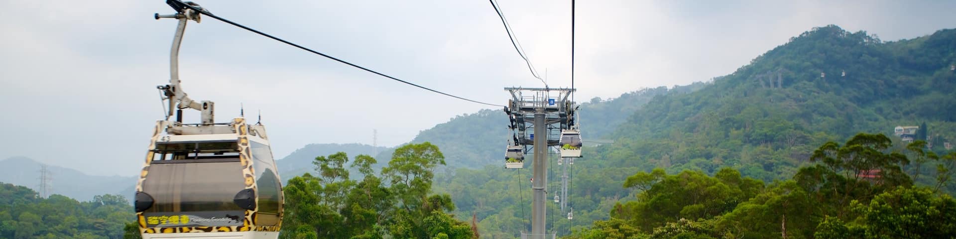 Maokong Gondola featuring rainforest and a gondola
