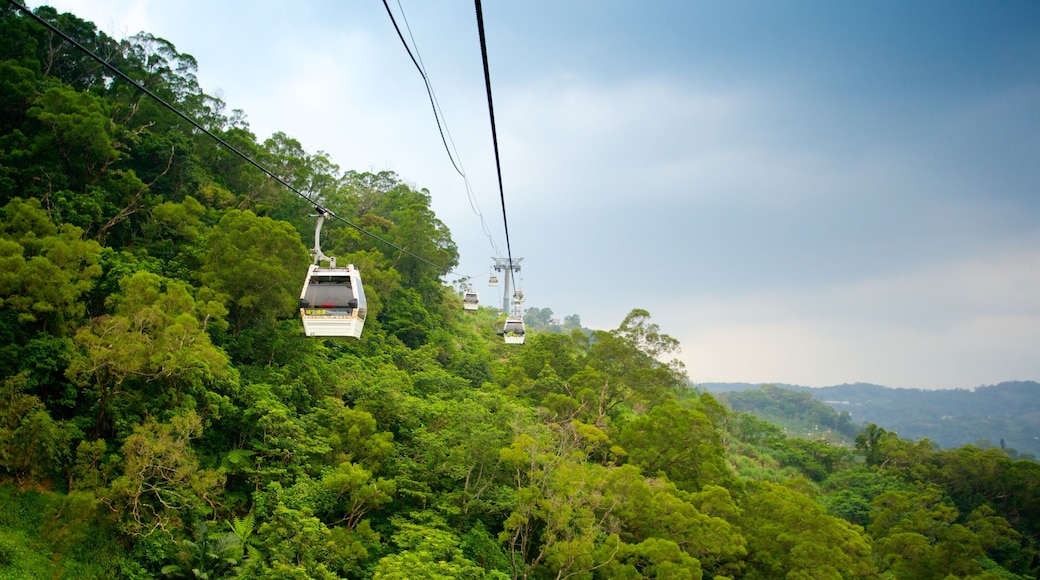 Maokong Gondola showing forest scenes, mountains and railway items