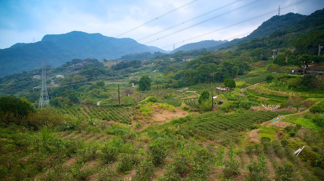 Taipéi que incluye vista panorámica, montañas y granja
