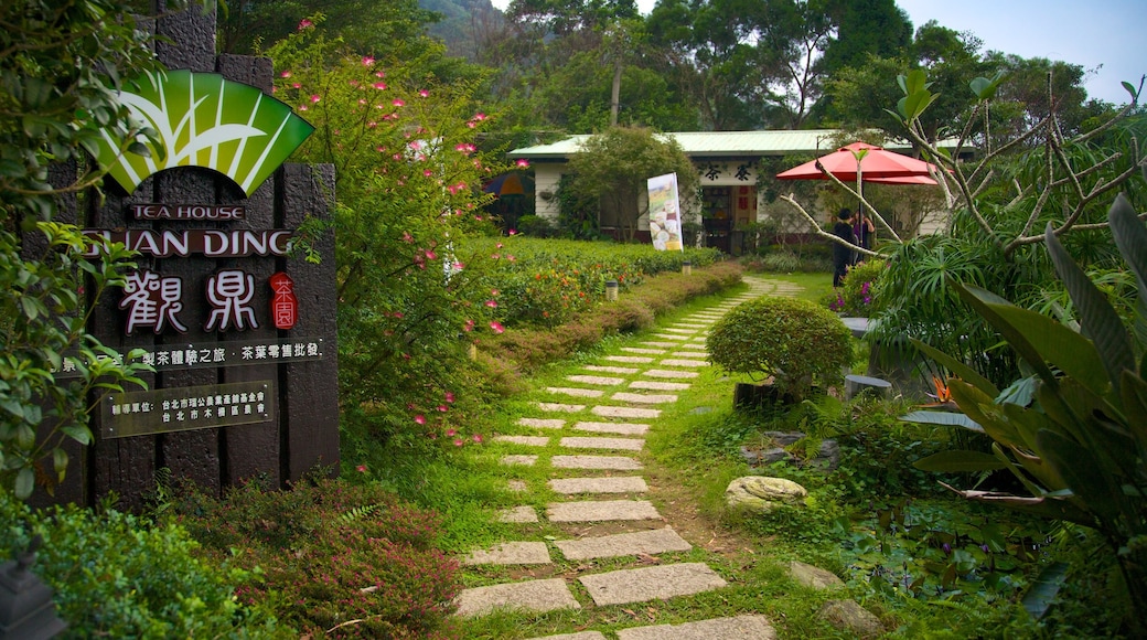 Taipei showing signage and a park