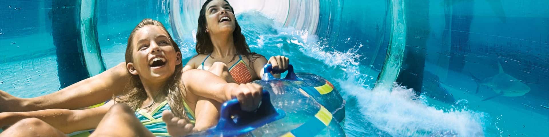 Aquaventure featuring interior views, a waterpark and rides