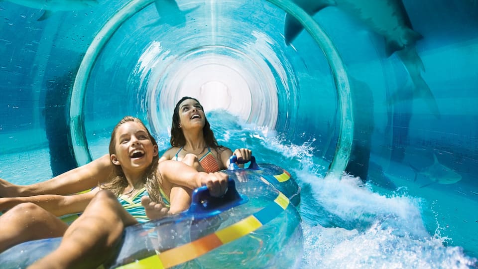 Aquaventure mit einem Innenansichten, Fahrten und Wasserpark