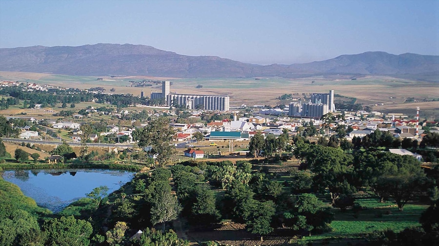 Caledon ofreciendo una pequeña ciudad o pueblo, un jardín y un estanque