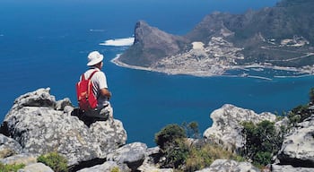 Hout Bay Beach mostrando vista del paesaggio, costa frastagliata e località costiera