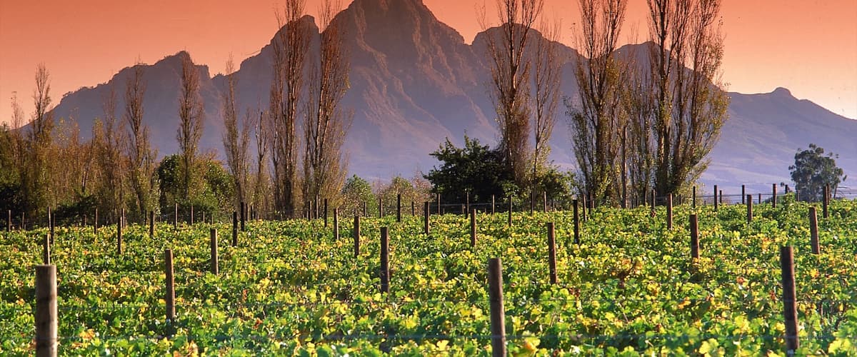 Franschhoek featuring landscape views, mountains and a sunset