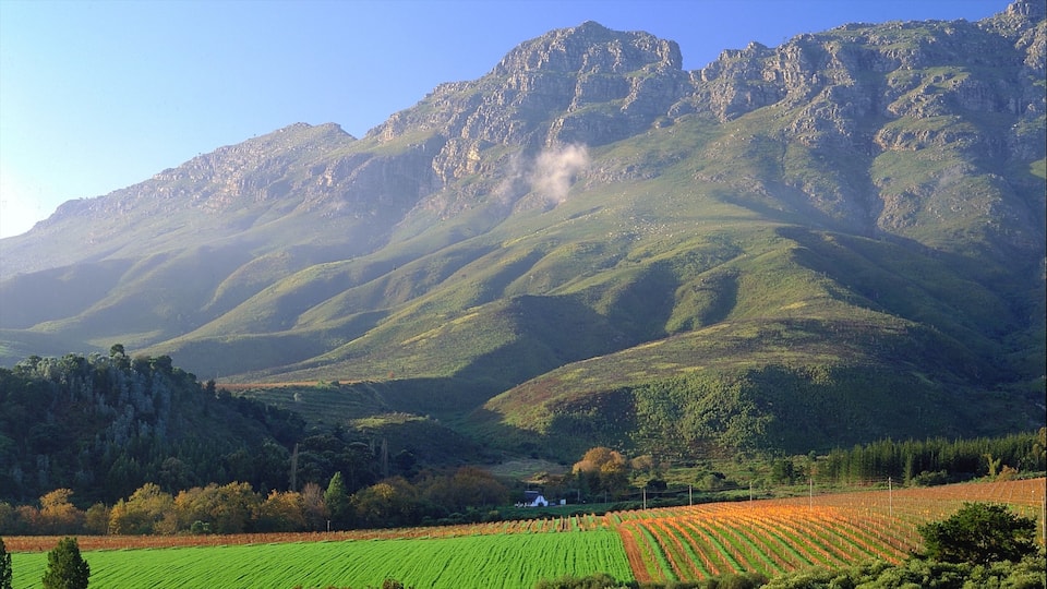 Stellenbosch mostrando tierras de cultivo, montañas y vistas de paisajes