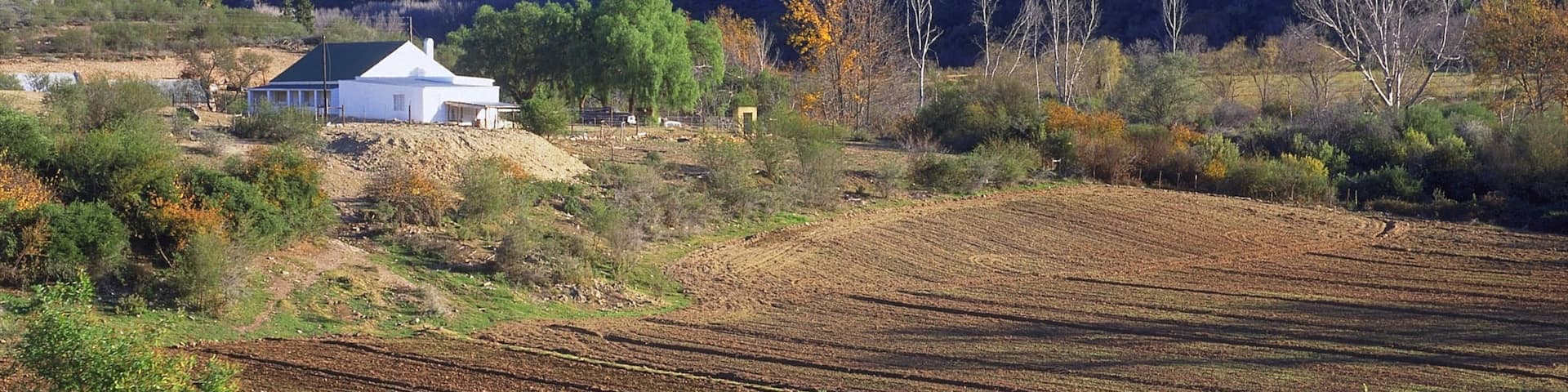 Oudtshoorn, Western Cape, South Africa