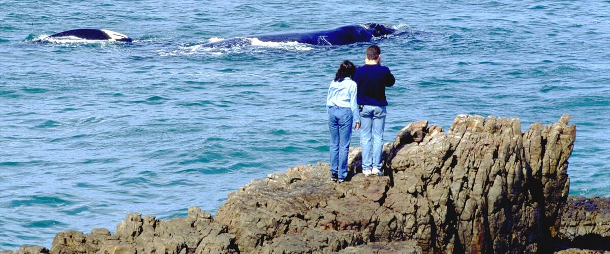 Hermanus johon kuuluu kallioinen rannikko, valaidenkatselu ja maisemat