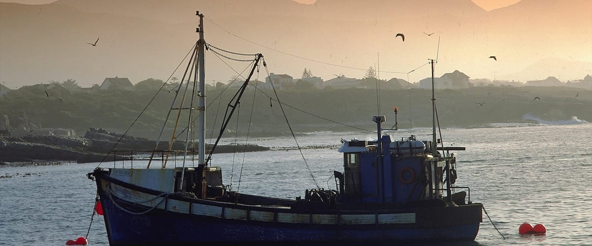 Hermanus ofreciendo paseos en lancha, una puesta de sol y una bahía o puerto