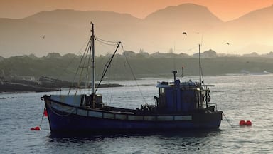 Hermanus showing landscape views, a bay or harbour and a sunset