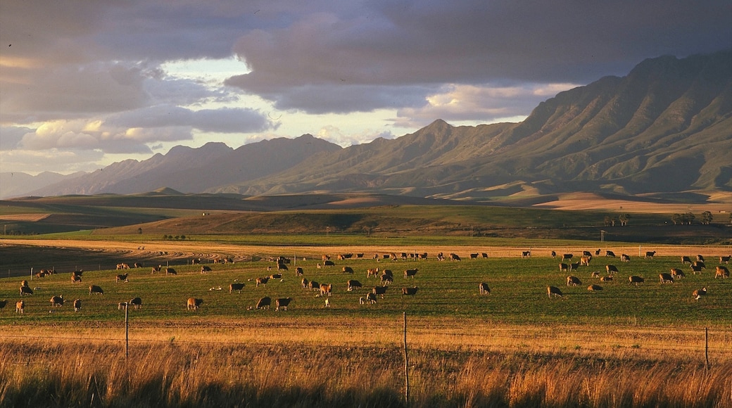 Photo provided by South African Tourism