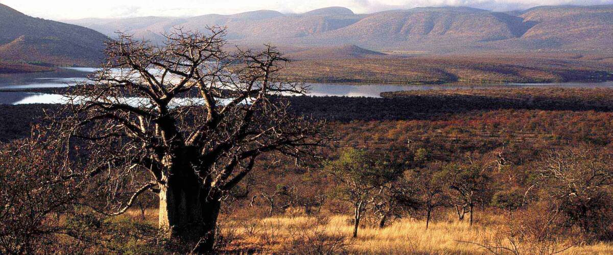 Musina showing a river or creek, tranquil scenes and landscape views