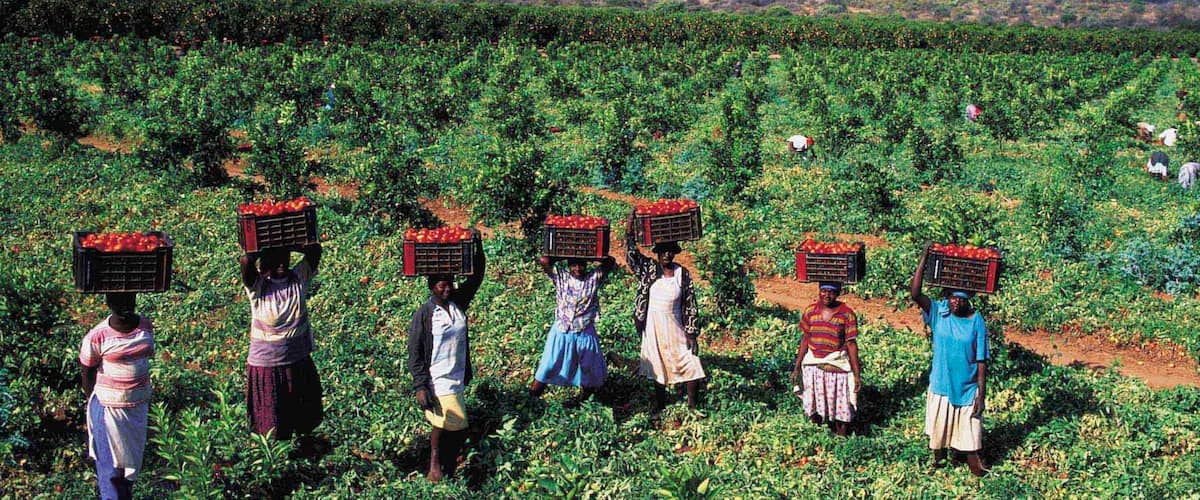 Musina which includes farmland, indigenous culture and landscape views