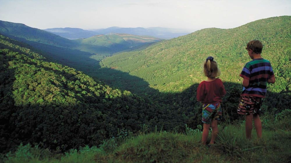 Magoebaskloof featuring hiking or walking, mountains and landscape views