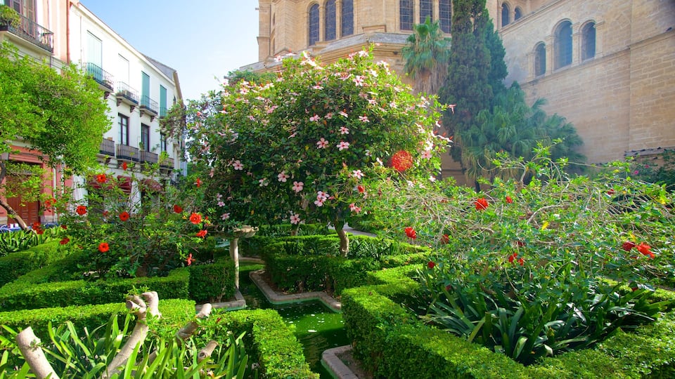 Kathedrale Malaga mit einem Blumen, Park und Stadt