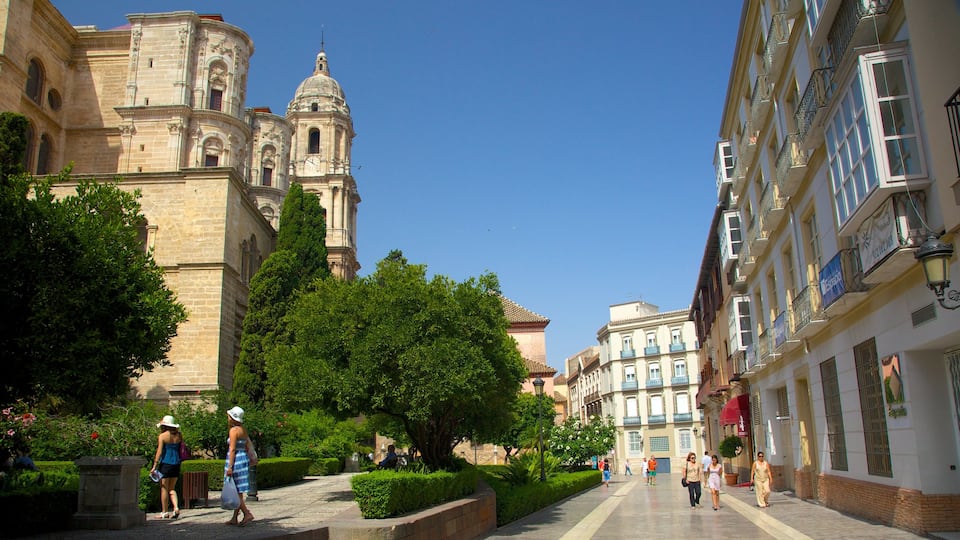 Kathedrale Malaga welches beinhaltet Stadt, religiöse Aspekte und Kirche oder Kathedrale