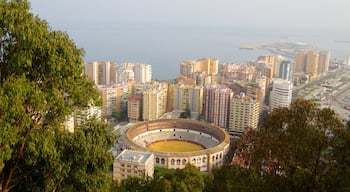 Malaga featuring a city