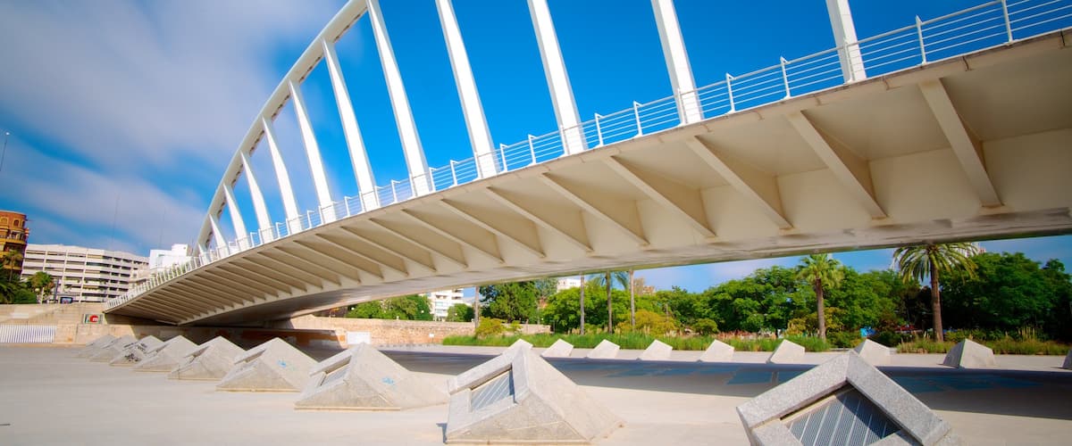 Valencia ofreciendo un jardín, un puente y arquitectura moderna